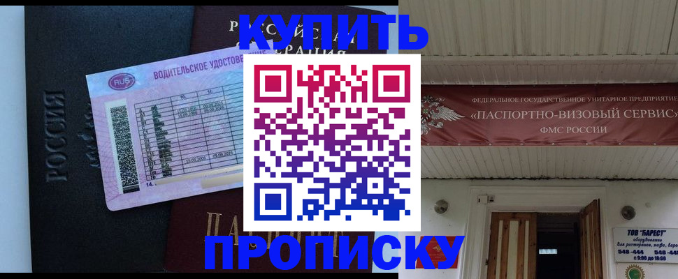 временная регистрация поиск в Шилке